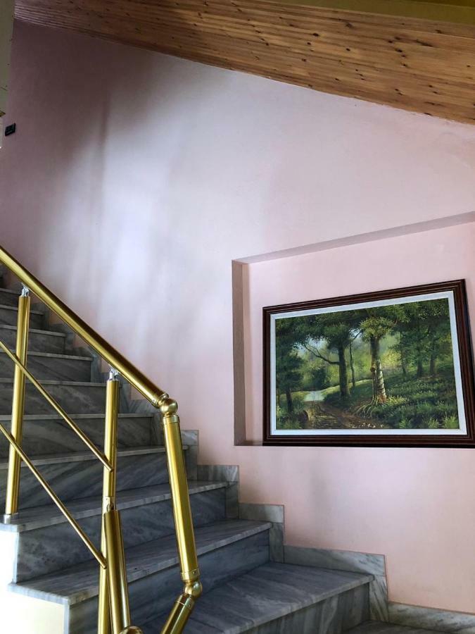 Villa Deni Tushemisht